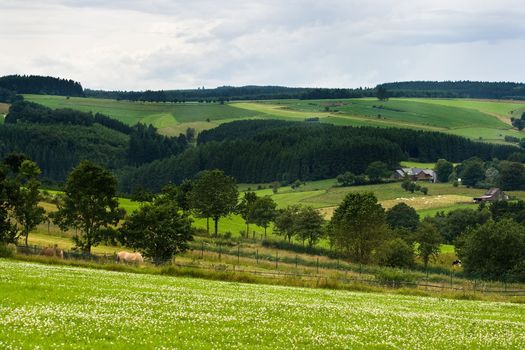 Agricultural landscape with meadows, hills and farms on cloudy summerday