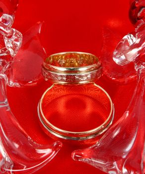Two wedding rings on red with date