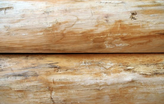 Closeup of bright wooden logs. Wood texture.