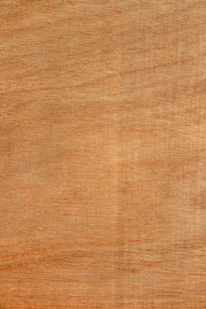 Texture of a wood panel, natural color.