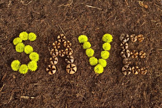 Environmental Save written in flowers and shells on soil.