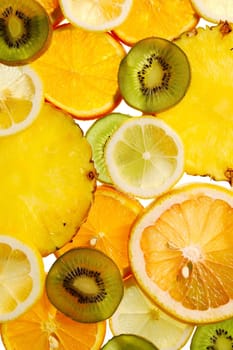 Sliced grapefruit lemon kiwi and pineapple on a light table