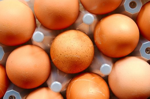 A set of brown eggs in a plastic tray
