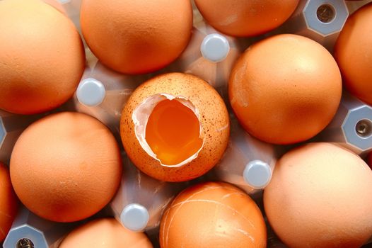 A set of brown eggs in a plastic tray