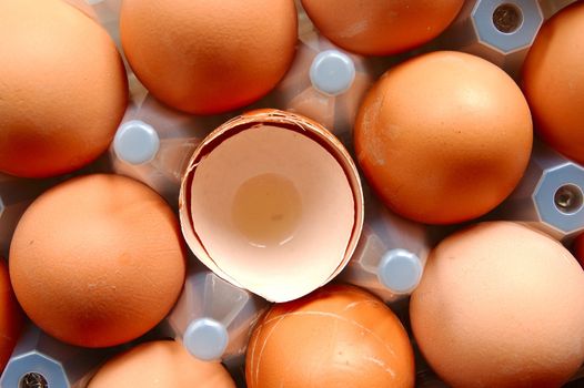 A set of brown eggs in a plastic tray