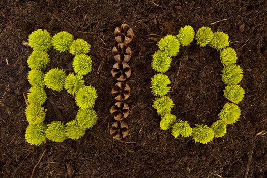 Environmental BIO written in flowers and shells on soil.