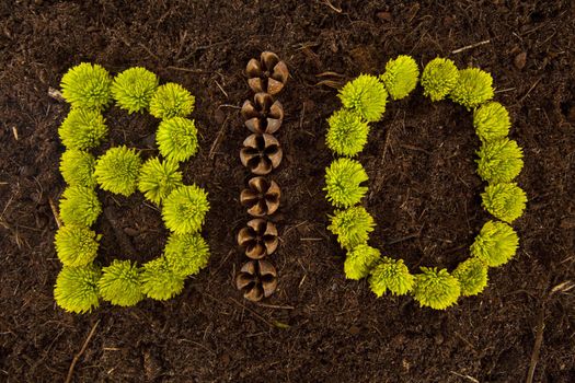 Environmental BIO written in flowers and shells on soil.