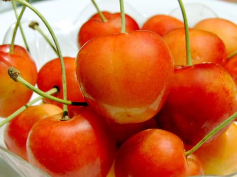 Close-up of some double color cherries