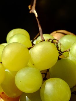 Close-up of white grapes