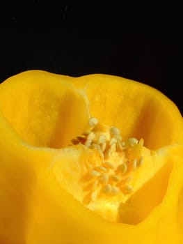 Half cut yellow pepper isolated on black