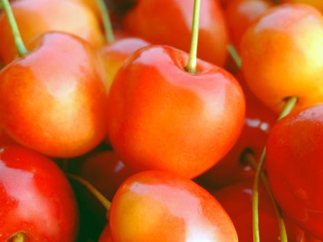 close-up of ripe double color cherries