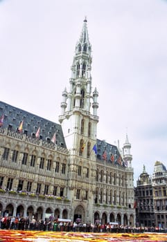 The Brussels flower carpet is designed of Begonias every second year in the central square - Grand Place. This year's theme was the kaleidoscope.