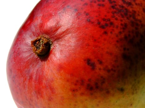 Ripe mango