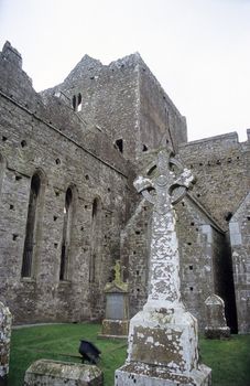 Ancient Celtic headstones at the Rock of Cashel, Co. Tipperary, Ireland