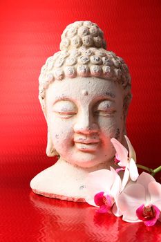 buddha figure against a red background with a Orichdee