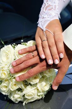 Hands of  groom and  bride with new wedding rings 