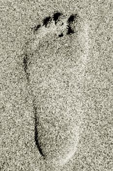bare footprint left by human in a sea sand