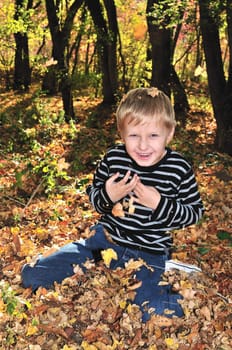 boy playing with yellow maple leaves in the forest
