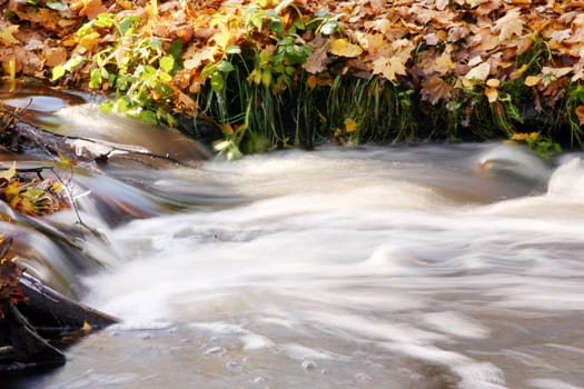 spring waters with autumn leaves in background