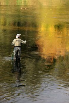 cowboy-look flyfisher casts in autumn river