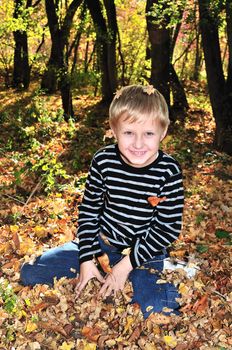 boy playing with yellow maple leaves in the forest
