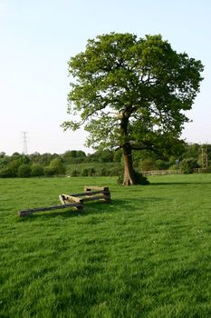 horse training field, London, no post-processing