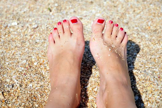 nice pedicure with red nail in the sand on the beach