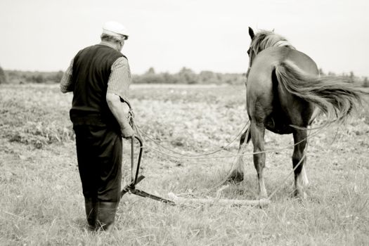 Farmer plowing clayey rows in potato field with horse, Belarus