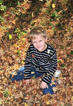 boy playing with yellow maple leaves in the forest.