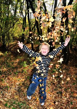boy playing with yellow maple leaves in the forest.