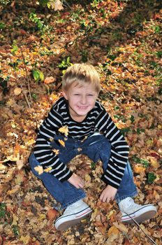boy playing with yellow maple leaves in the forest.