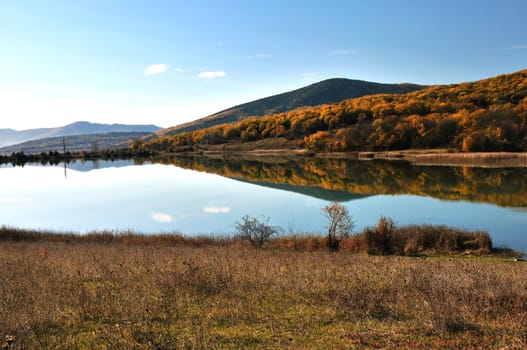 calml lake,  reflection autumn forest on the water
