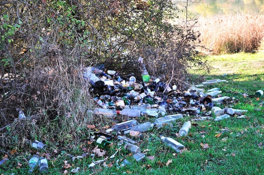 huge pile of rubbish in the forest