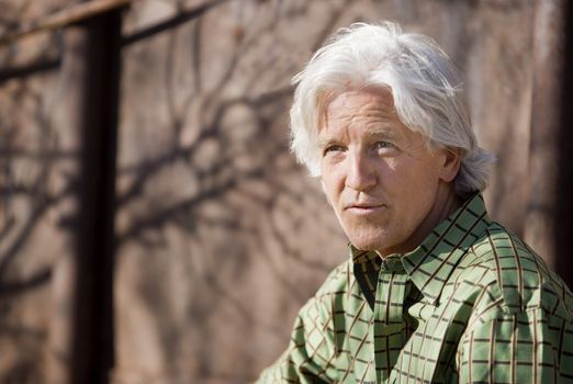 Handsome man with gray hair and a green shirt