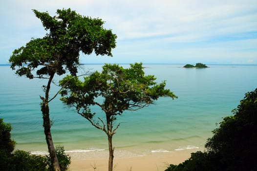 The tropical trees and islands in the beautiful lagoon