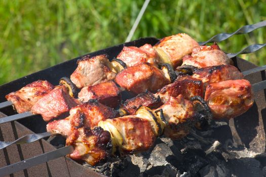Pork shish-kebab roasted on skewers in bright sunlight