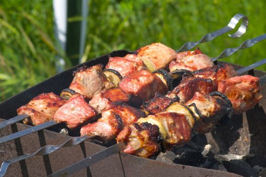 Pork shish-kebab roasted on skewers in bright sunlight