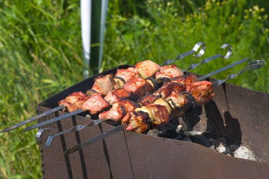 Pork shish-kebab roasted on skewers in bright sunlight