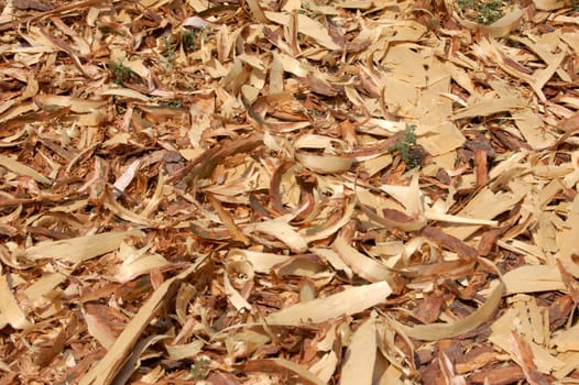 land is coated with film of wood shavings, wood industry