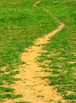 yellow path between green grass following to up