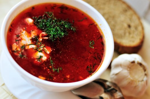 ukrainian and russian red-beet soup (borscht) with garlic and sour cream