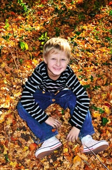 happy boy sitting in leaves in sunny autumn forest