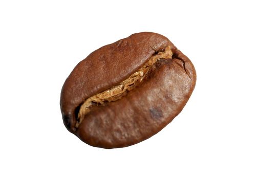 macro of one coffee bean against white