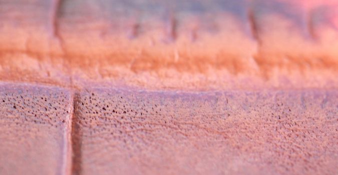 macro pattern of expensive red leather