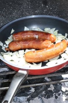 barbecue on the countryside, grilled sausage with onions