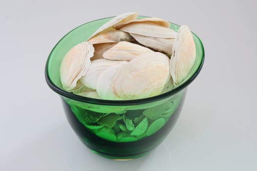 Seashells in vase