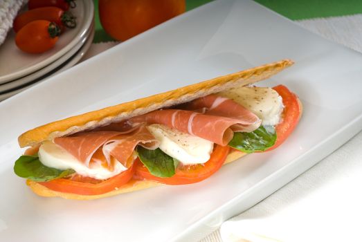 panini sandwich with fresh caprese and parma ham