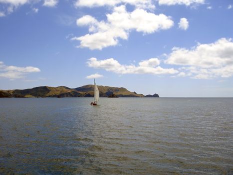 Sailing through the Bay of Islands, New Zealand