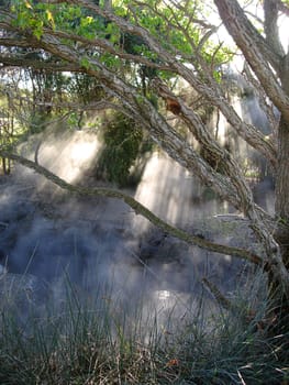 Sunlight through boiling mist of the Geothermal Activity in Kuirau Park, Rotorua, New Zealand