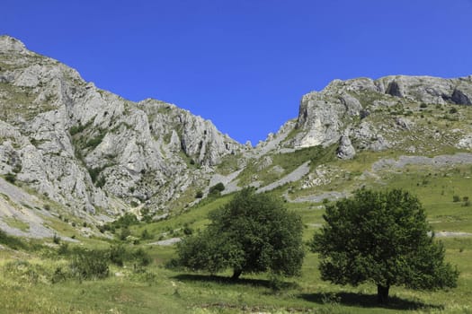 Summer image with rocks,green trees and blue sky in Trascau Mountains,Transylvania,Romania.
